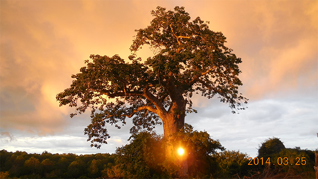 天(tiān)易海工最美施(shī)工攝影作品展(一) 成人版抖阴海工最(zuì)美施工攝影作品展(一)