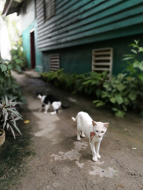 成人版抖阴海工最美施工攝影作品展(一) 成人版抖阴海工最美施(shī)工攝影作品展(一)