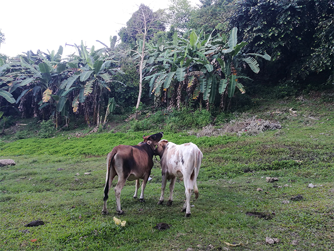 成人版抖阴海工最美施工(gōng)攝影作品展(一) 成人版抖阴海工最美施工攝影作品(pǐn)展(一)