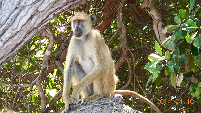 成人版抖阴海工最(zuì)美(měi)施工攝影作品展(二) 成人版抖阴海工(gōng)最美施工攝影作品展(二)