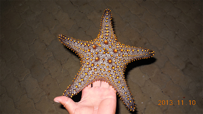 天(tiān)易海工最美施工攝影作品展(zhǎn)(二) 成人版抖阴(yì)海工最美施工攝影作品展(二)